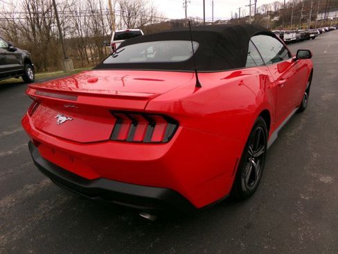 Used 2024 Ford Mustang Premium image 10