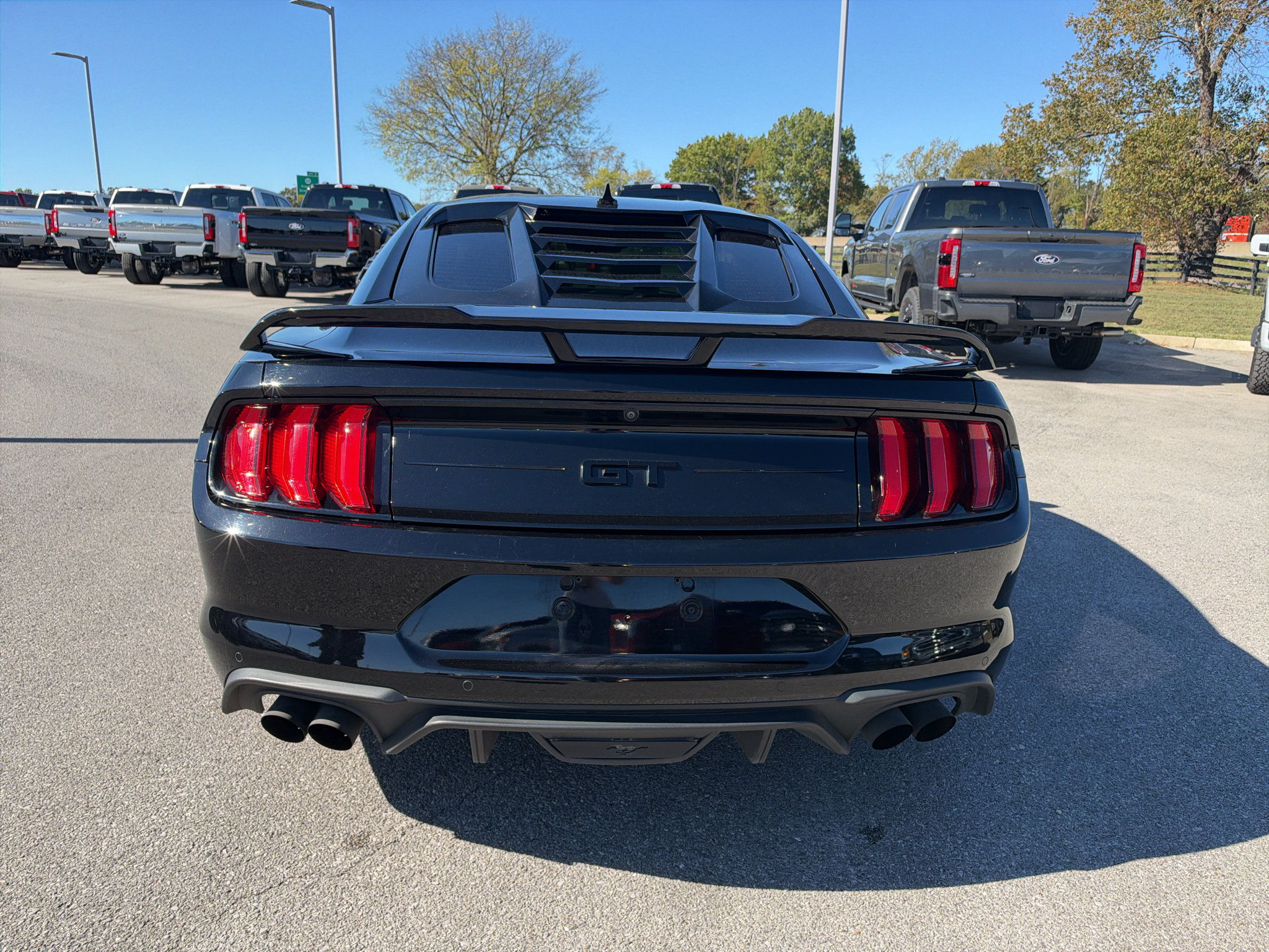 Used 2021 Ford Mustang GT w/ Equipment Group 301A RWD image 6