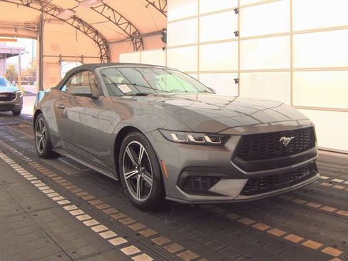 Used 2025 Ford Mustang Premium image 3