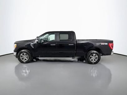 Used 2023 Ford F150 XLT w/ XTR Package