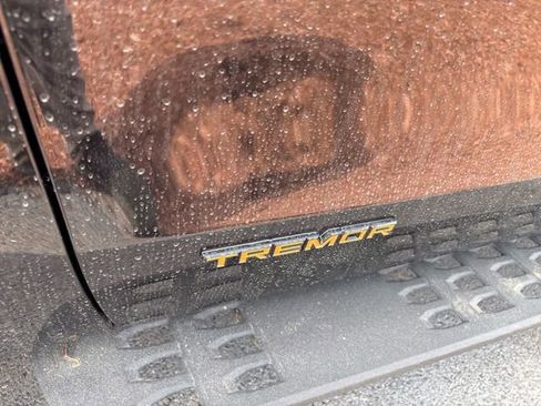 Used 2025 Ford Expedition Tremor image 6