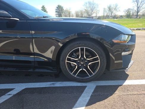 Used 2019 Ford Mustang Coupe w/ Equipment Group 101A RWD image 4