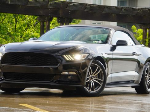 Used 2015 Ford Mustang Premium RWD image 5