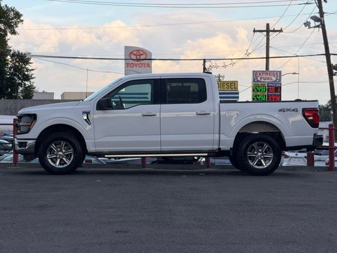 Used 2025 Ford F150 XLT w/ Equipment Group 301A Standard AWD/4WD image 8