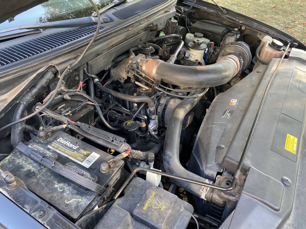 Used 2000 Ford F150 Harley-Davidson RWD image 6