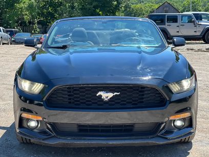 Used 2015 Ford Mustang Convertible w/ Equipment Group 051A