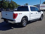 Certified 2021 Ford F150 XLT w/ Equipment Group 302A High image 6
