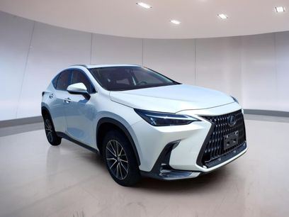 Used 2024 Lexus NX 350 AWD w/ Cold Area Package