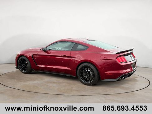 Used 2017 Ford Mustang Shelby GT350 RWD image 5