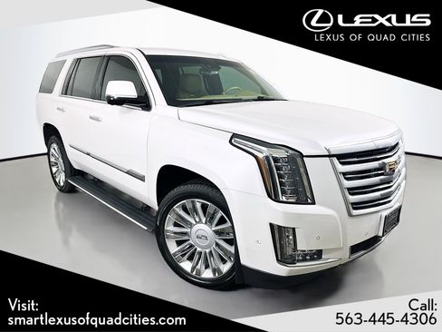Used 2019 Cadillac Escalade Platinum AWD/4WD image 1