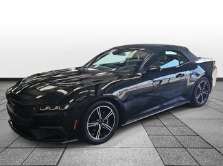 Used 2024 Ford Mustang Premium RWD video 1