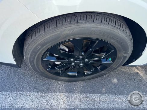 Used 2024 Kia Carnival SX FWD image 8
