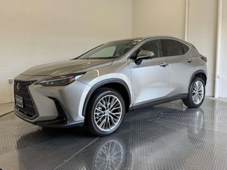 Certified 2025 Lexus NX 350 AWD w/ Cold Area Package video 1