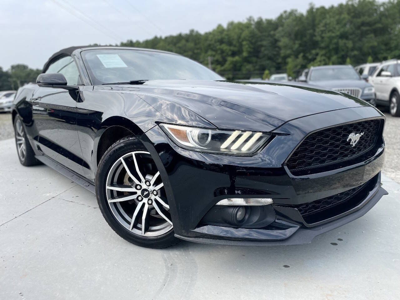 Used 2016 Ford Mustang Premium RWD image 1