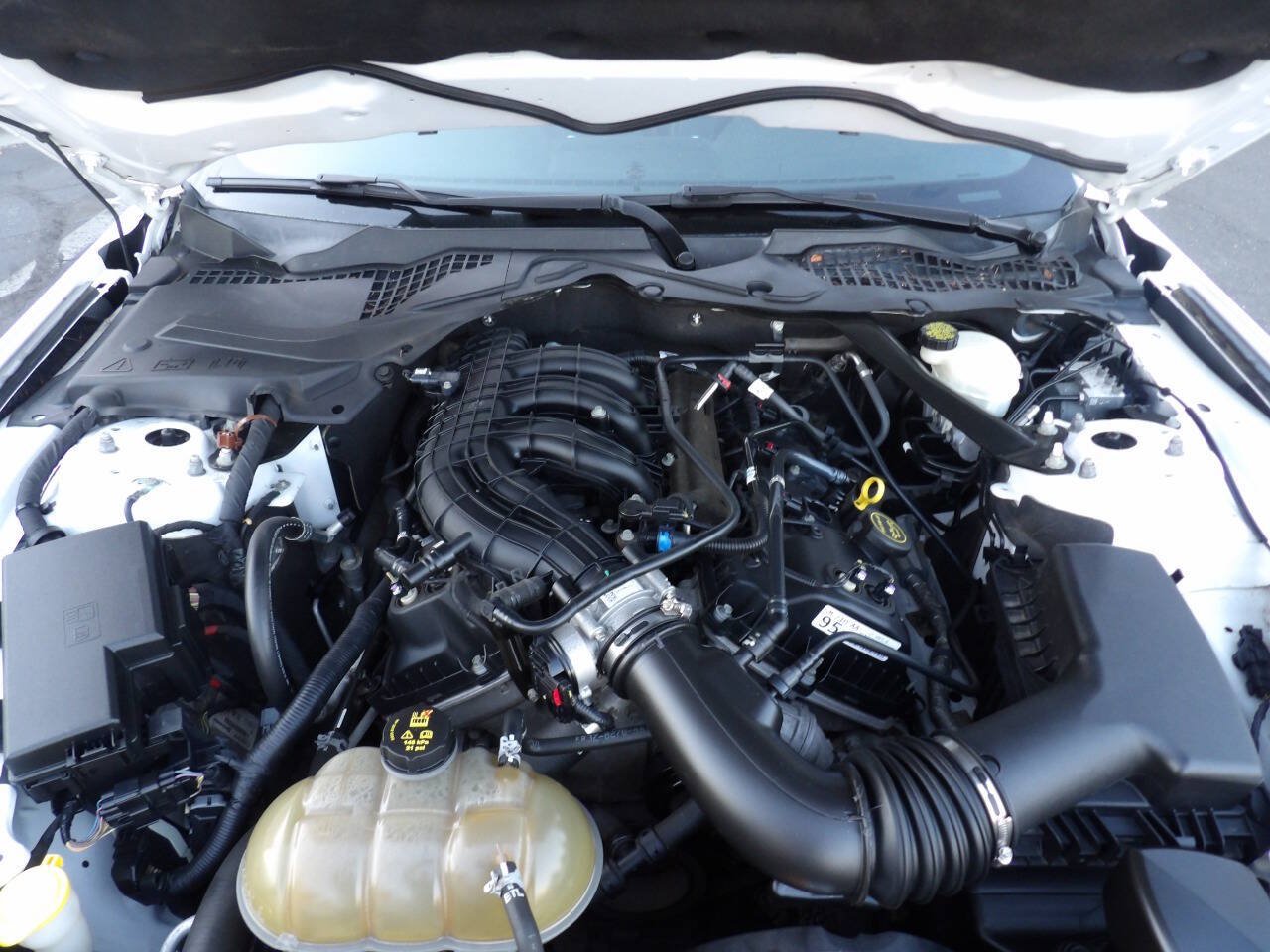 Used 2016 Ford Mustang Convertible w/ Equipment Group 051A RWD image 13