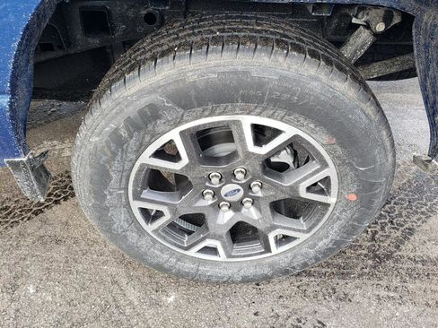 New 2025 Ford F150 STX w/ Equipment Group 200A image 12