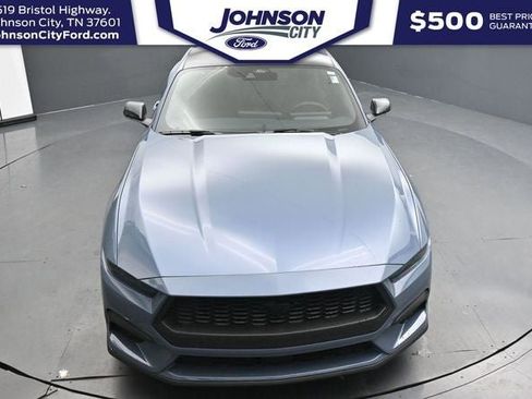 New 2026 Ford Mustang Coupe w/ Mustang Nite Pony Package RWD image 17