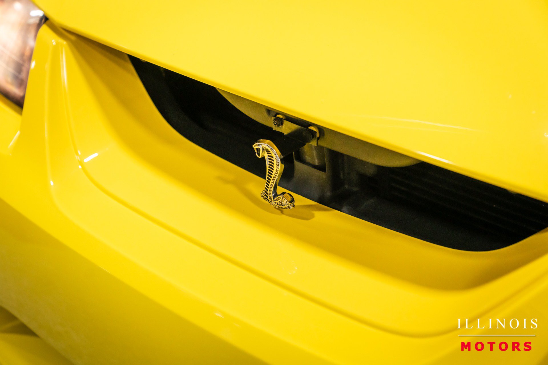 Used 2001 Ford Mustang Cobra RWD image 13