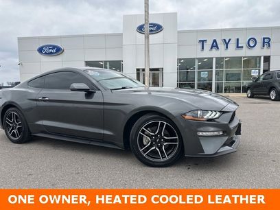 Used 2019 Ford Mustang Premium w/ Equipment Group 201A