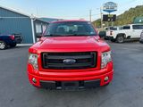 Used 2013 Ford F150 STX w/ Mid Equipment Group image 2