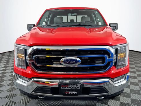 Used 2021 Ford F150 XLT w/ Equipment Group 302A High AWD/4WD image 2