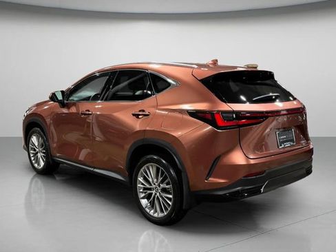 Used 2025 Lexus NX 350h image 6