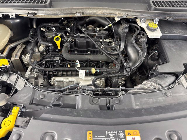 Used 2019 Ford Escape SEL FWD image 19