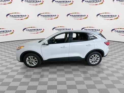 Used 2021 Ford Escape SE AWD/4WD image 5