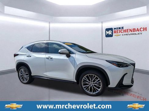 Used 2025 Lexus NX 350h AWD w/ Cold Area Package image 1