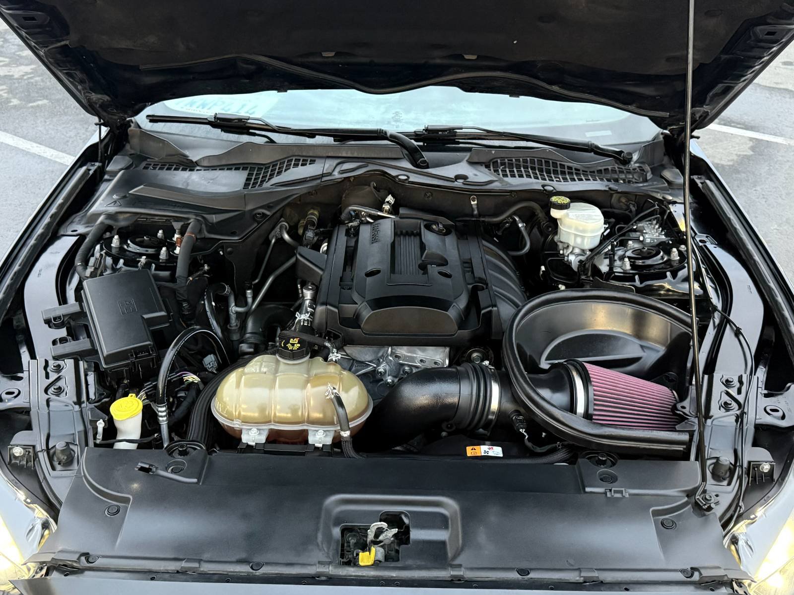 Used 2017 Ford Mustang Premium RWD image 13