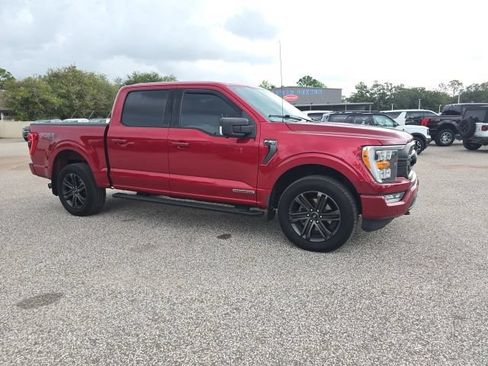 Used 2021 Ford F150 XLT w/ Equipment Group 302A High AWD/4WD image 1