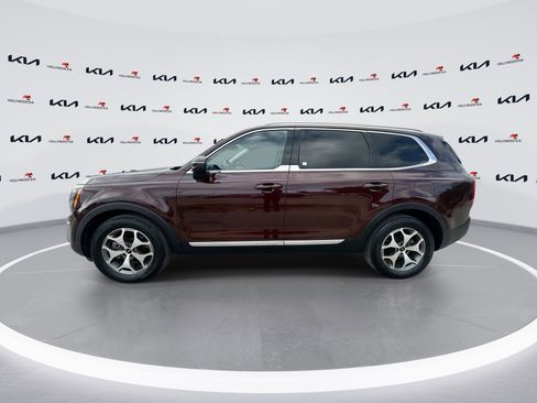 Certified 2022 Kia Telluride EX image 5