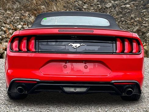 Used 2020 Ford Mustang Premium RWD image 4