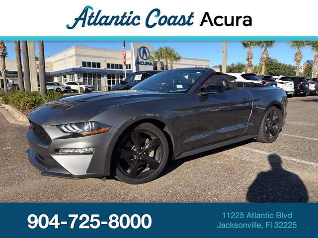 Used 2023 Ford Mustang Premium w/ Mustang Nite Pony Package RWD image 1