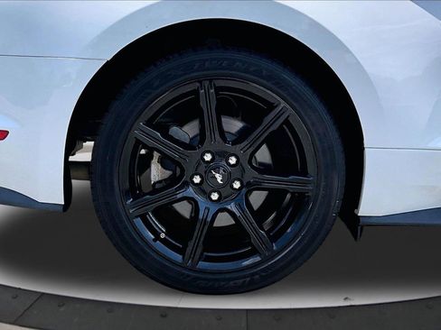 Used 2019 Ford Mustang Coupe w/ Equipment Group 101A RWD image 33