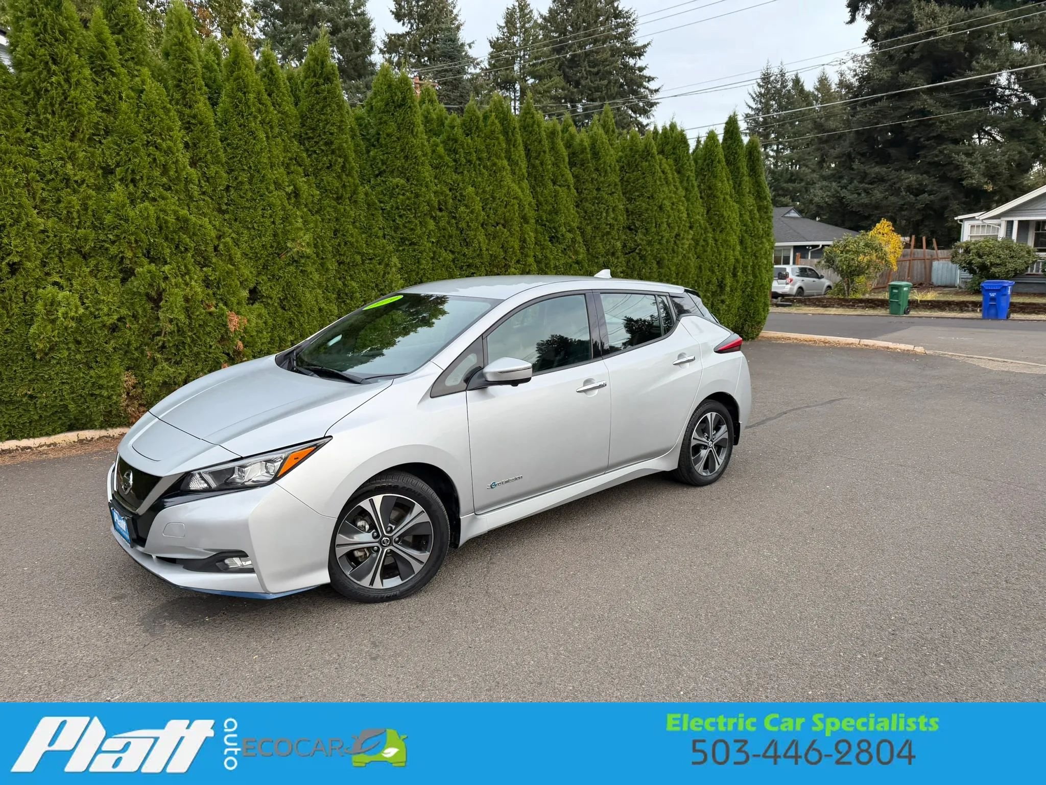 Used 2019 Nissan Leaf SL Plus w/ Protection Package FWD image 2