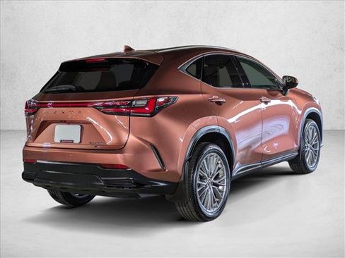 Used 2025 Lexus NX 350h AWD w/ Cold Area Package image 5