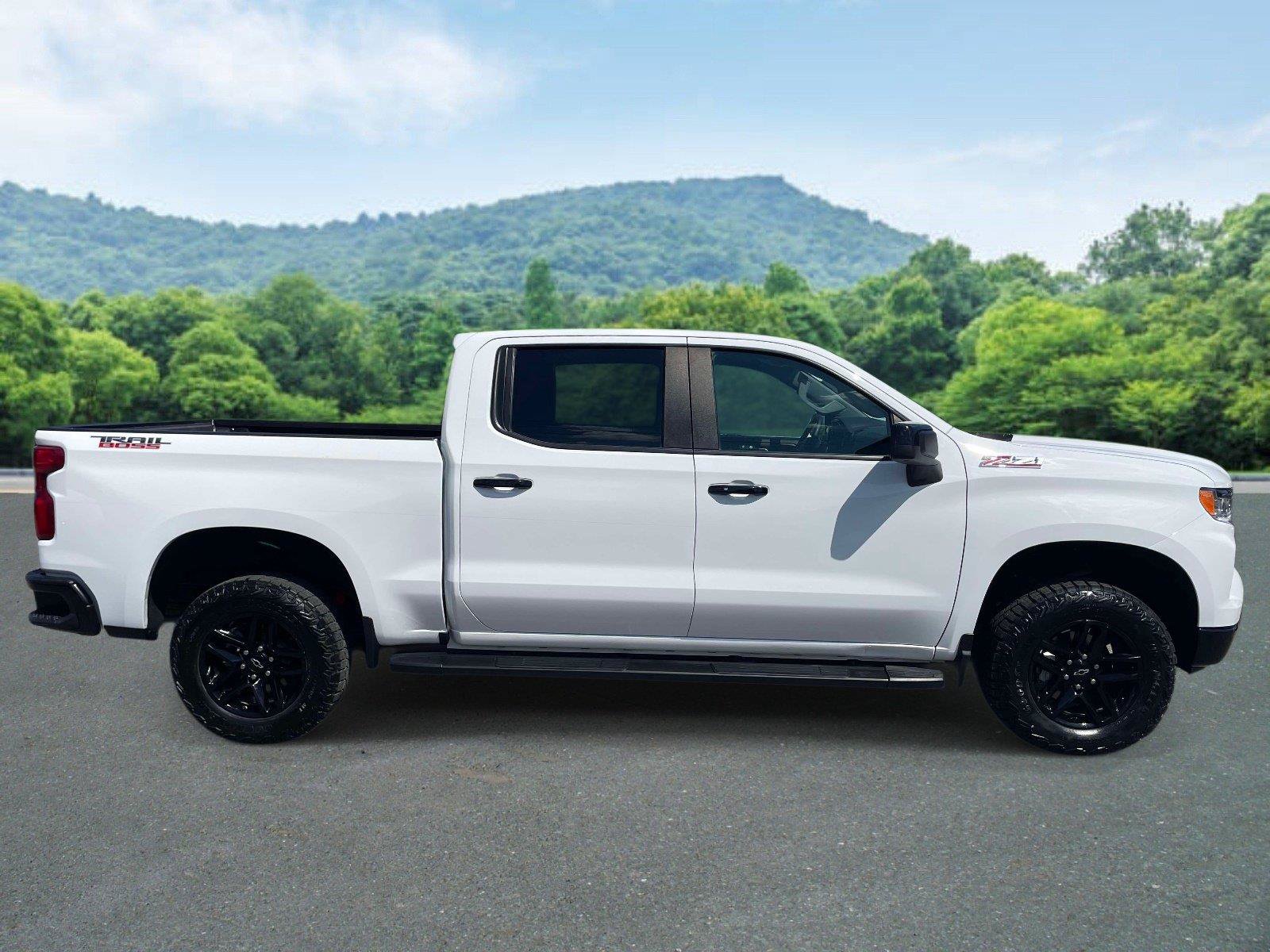 Used 2024 Chevrolet Silverado 1500 LT Trail Boss w/ Protection Package AWD/4WD image 21