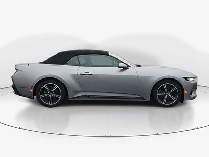 Used 2024 Ford Mustang Premium