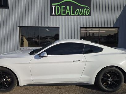 Used 2018 Ford Mustang Premium w/ Equipment Group 201A