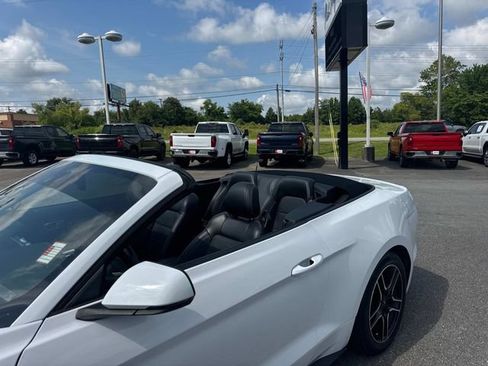 Used 2023 Ford Mustang GT Premium w/ Equipment Group 401A RWD image 28