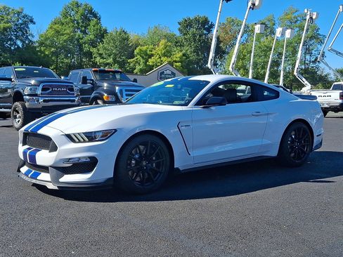 Used 2016 Ford Mustang Shelby GT350 w/ Technology Package image 5