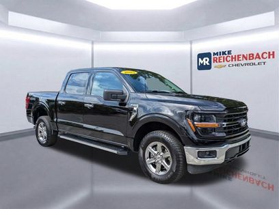 Used 2025 Ford F150 XLT w/ Equipment Group 301A Standard