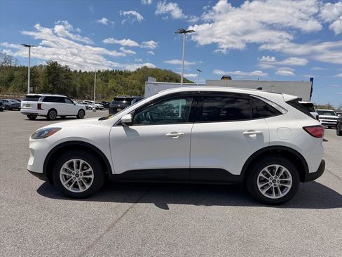 Used 2020 Ford Escape SE AWD/4WD image 4