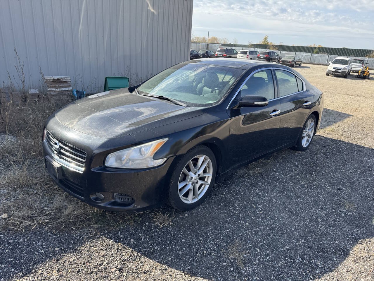 Used 2011 Nissan Maxima 3.5 SV w/ Premium Pkg FWD image 1