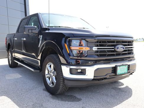 Used 2025 Ford F150 XLT w/ Equipment Group 301A Standard AWD/4WD image 6