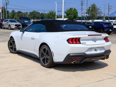 Used 2025 Ford Mustang Premium RWD image 3