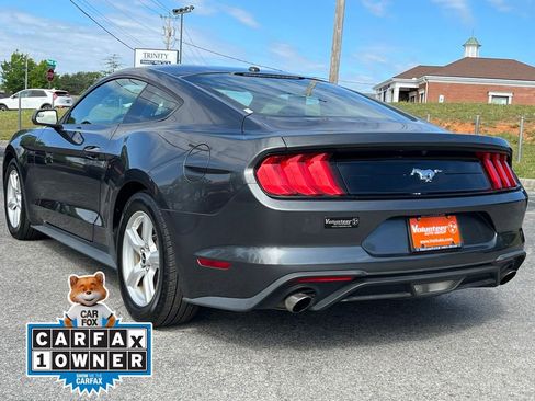 Used 2019 Ford Mustang Coupe RWD image 4