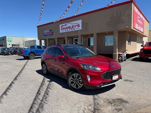 Used 2020 Ford Escape SEL image 1