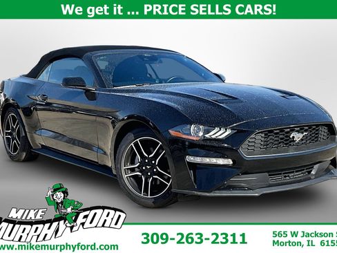 Used 2023 Ford Mustang Convertible w/ Equipment Group 101A RWD image 1